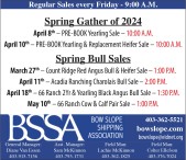 Spring Gather and Bull Sales of 2024